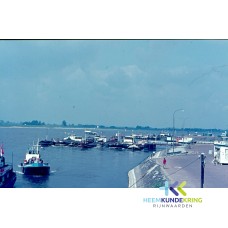 Coll. HKR F0000014 (14)